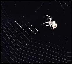 ��ɳ�Ƽ��ƾ���Ƶ�����ϣ�һ�����ڳ������屻���� ������ǿ��(ͼ)...